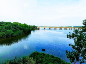 Important rivers of Karnataka- Feature - TCP