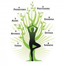 Where does Yoga Come from? - Descriptive 4 - TCP