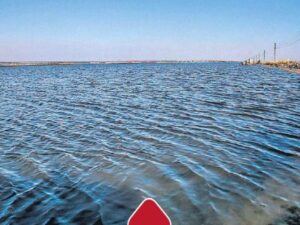 Longest Lake in India - Descriptive 4 - TCP