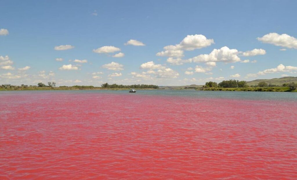 Red River of India - Feature - TCP