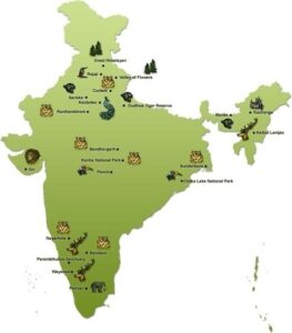 The national parks of India - Descriptive 1- TCP