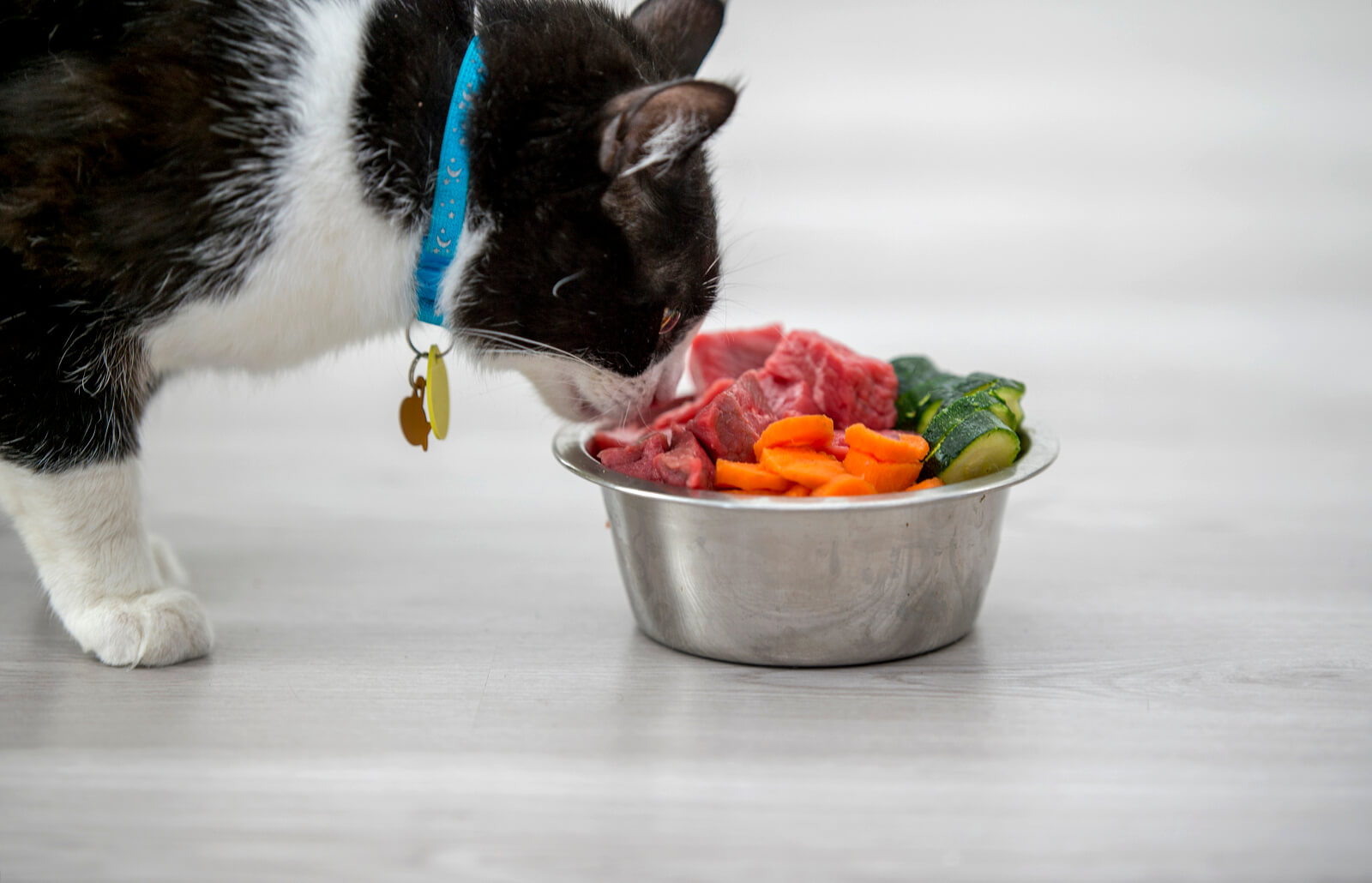 Кошки едят хозяев. Еда для кошек. Питание котов. Натуральная еда для кота. Натуральное питание для котов миска.