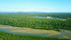 Highest Dam In India - Closure - TCP