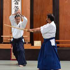 Aikido: Combat Stories - 12 - Descriptive 2- TCP